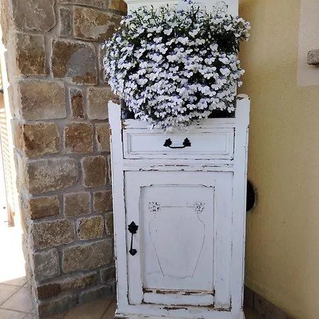 La Cicala Stonata Bed & Breakfast Dolceacqua Exterior photo