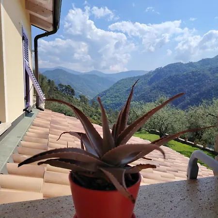 La Cicala Stonata Bed & Breakfast Dolceacqua Exterior photo
