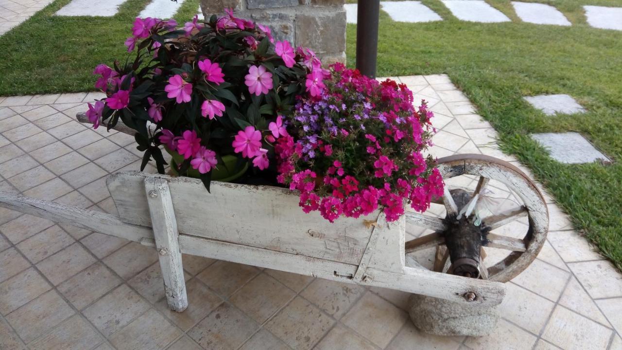 Bed and breakfast La Cicala Stonata *