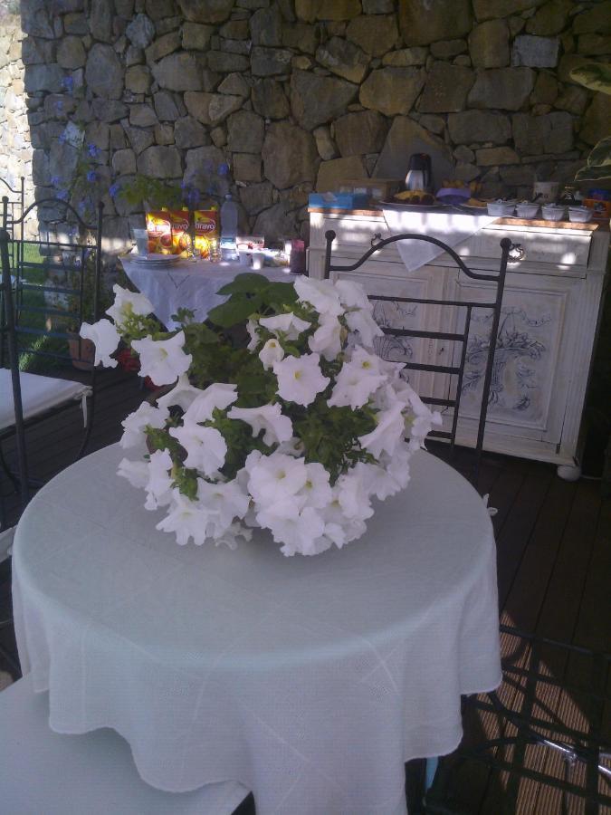 La Cicala Stonata Bed & Breakfast *