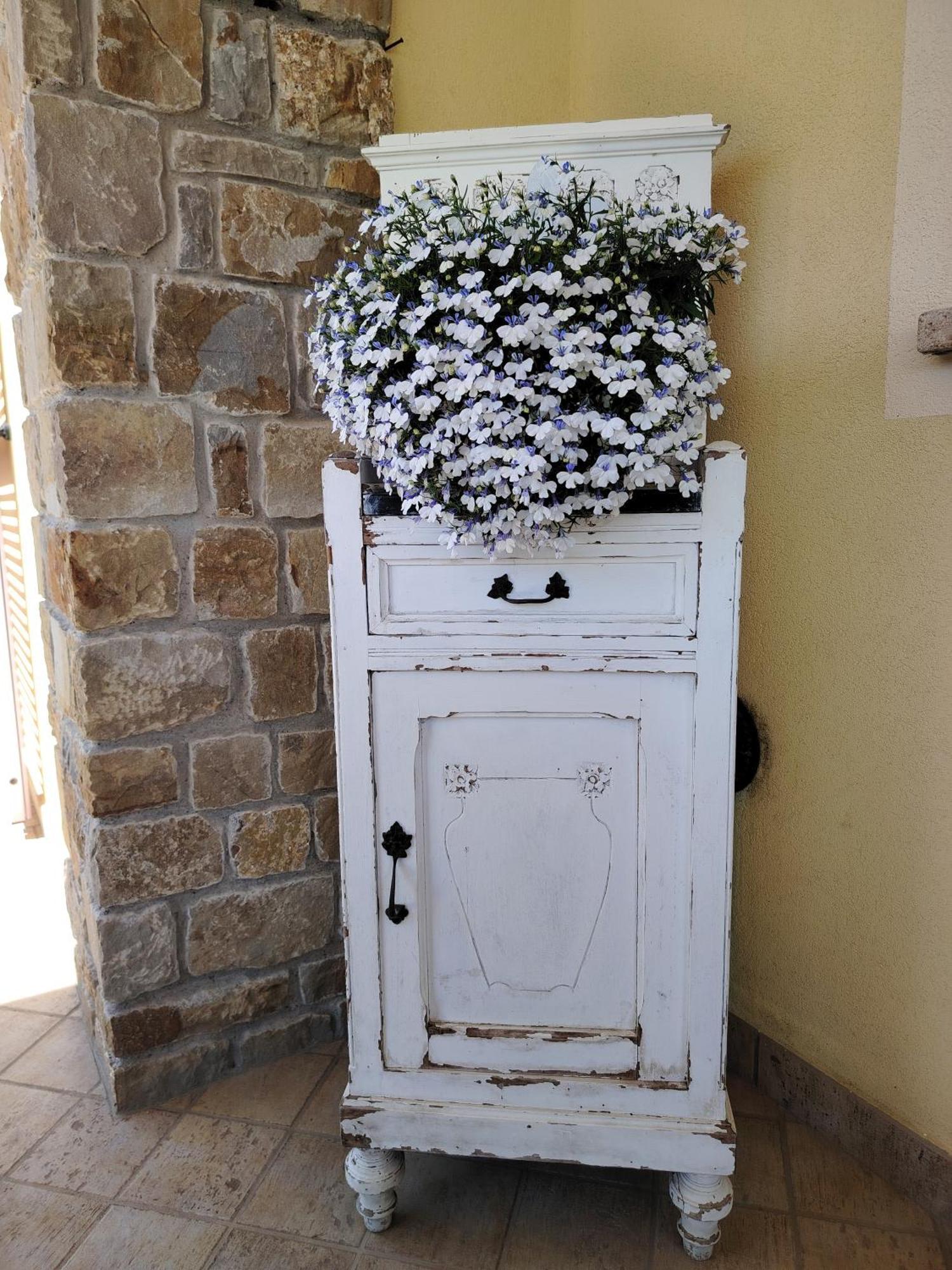 La Cicala Stonata * Dolceacqua