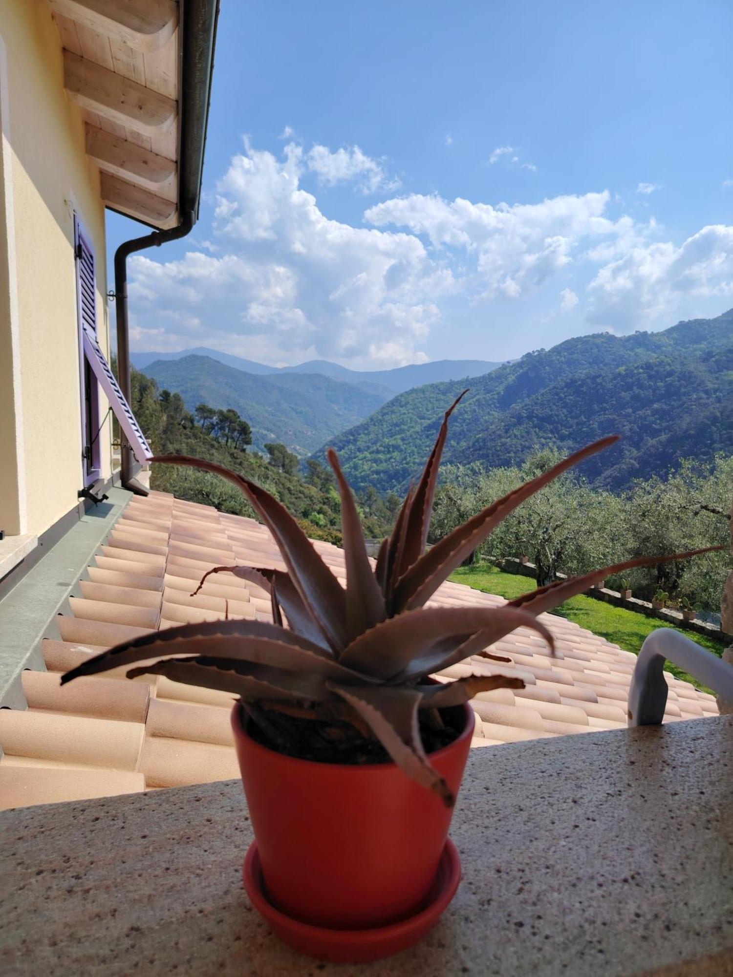 La Cicala Stonata Bed and breakfast Dolceacqua